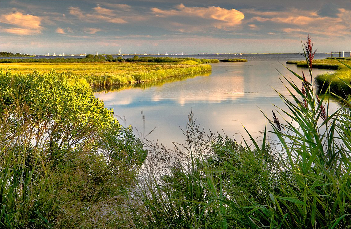 Barn Island